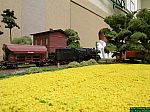 DSCN5049.JPG