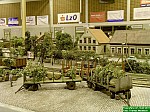 DSCN1627.jpg DSCN1627.jpg
