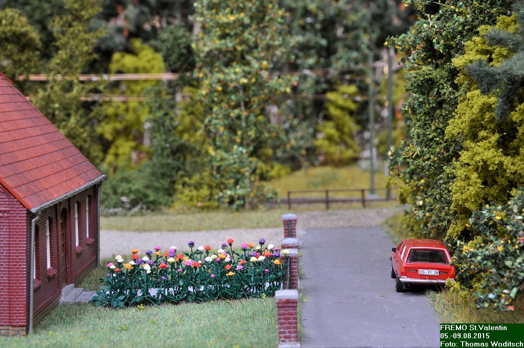 DSC_0645.JPG