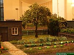 DSCF4133.jpg DSCF4133.jpg